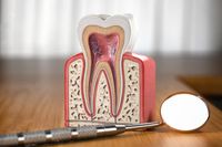 избелващи ленти за зъби - 56796 отстъпки