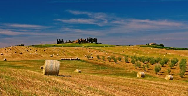 фермерство - 41516 снимки | agrovest.bg фермерство - 5393 снимки